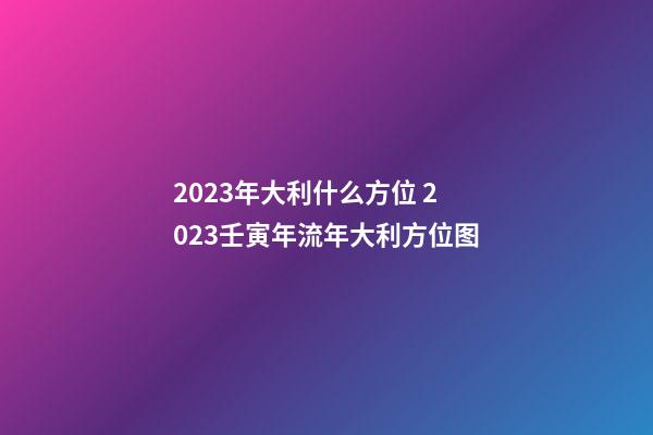2023年大利什么方位 2023壬寅年流年大利方位图